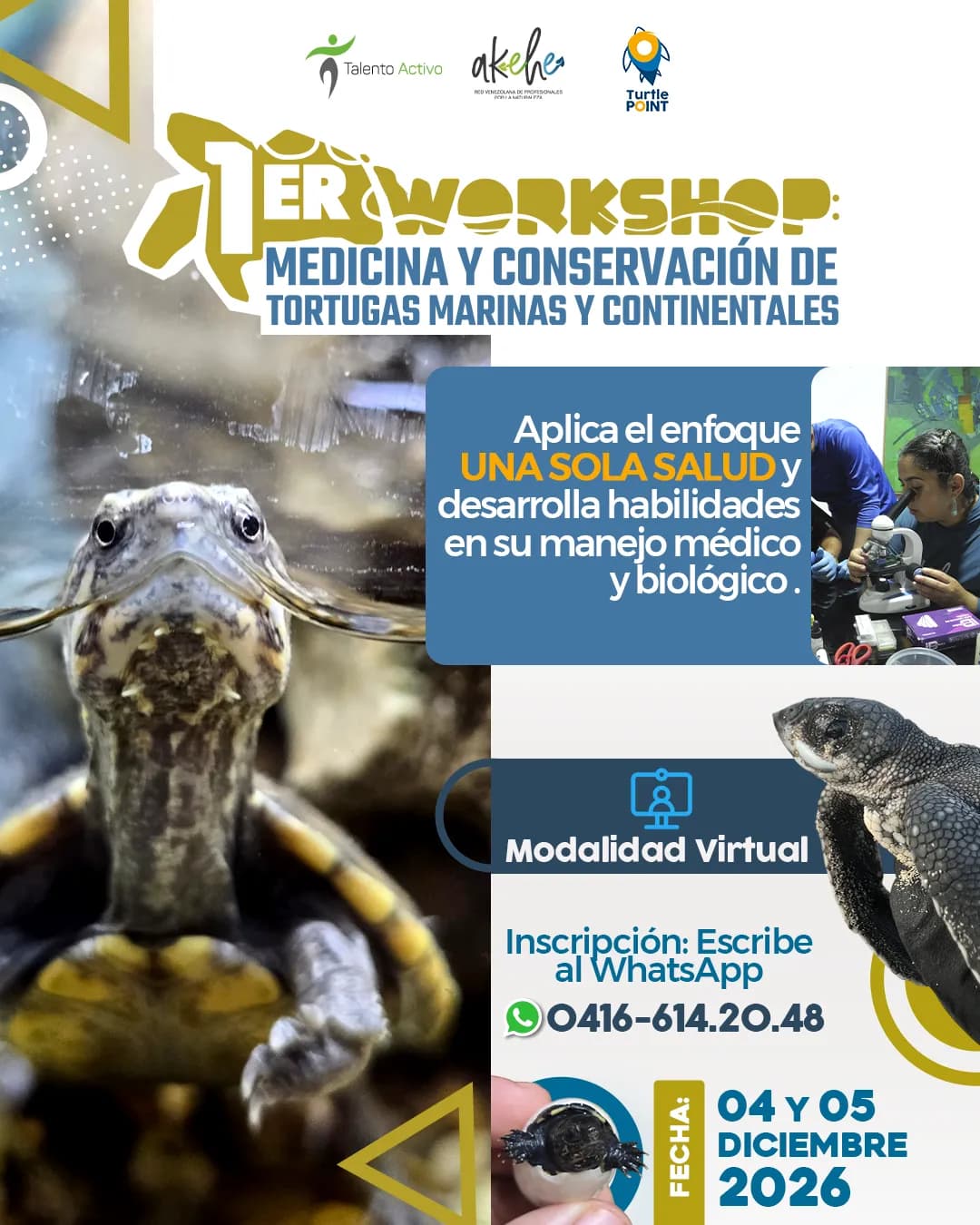 Afiche del 1er Workshop Virtual: Medicina y Conservación de Tortugas Marinas y Continentales: enfoque Una Sola Salud, modalidad virtual, 04 y 05 de Diciembre de 2026. Inscripción por WhatsApp al 0416-614.20.48.